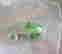 item-119829959=3