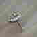 item-121019501=4