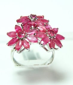 Natural Ruby Earrings 11.08Ct18k W/g Overlay