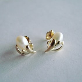 Culture Pearl 4.5 mm Stud Earrings 14k Y/g