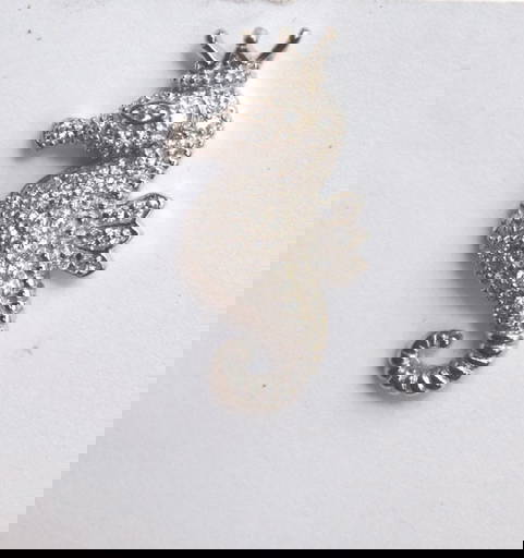 Liz Tech Seahorse Pin