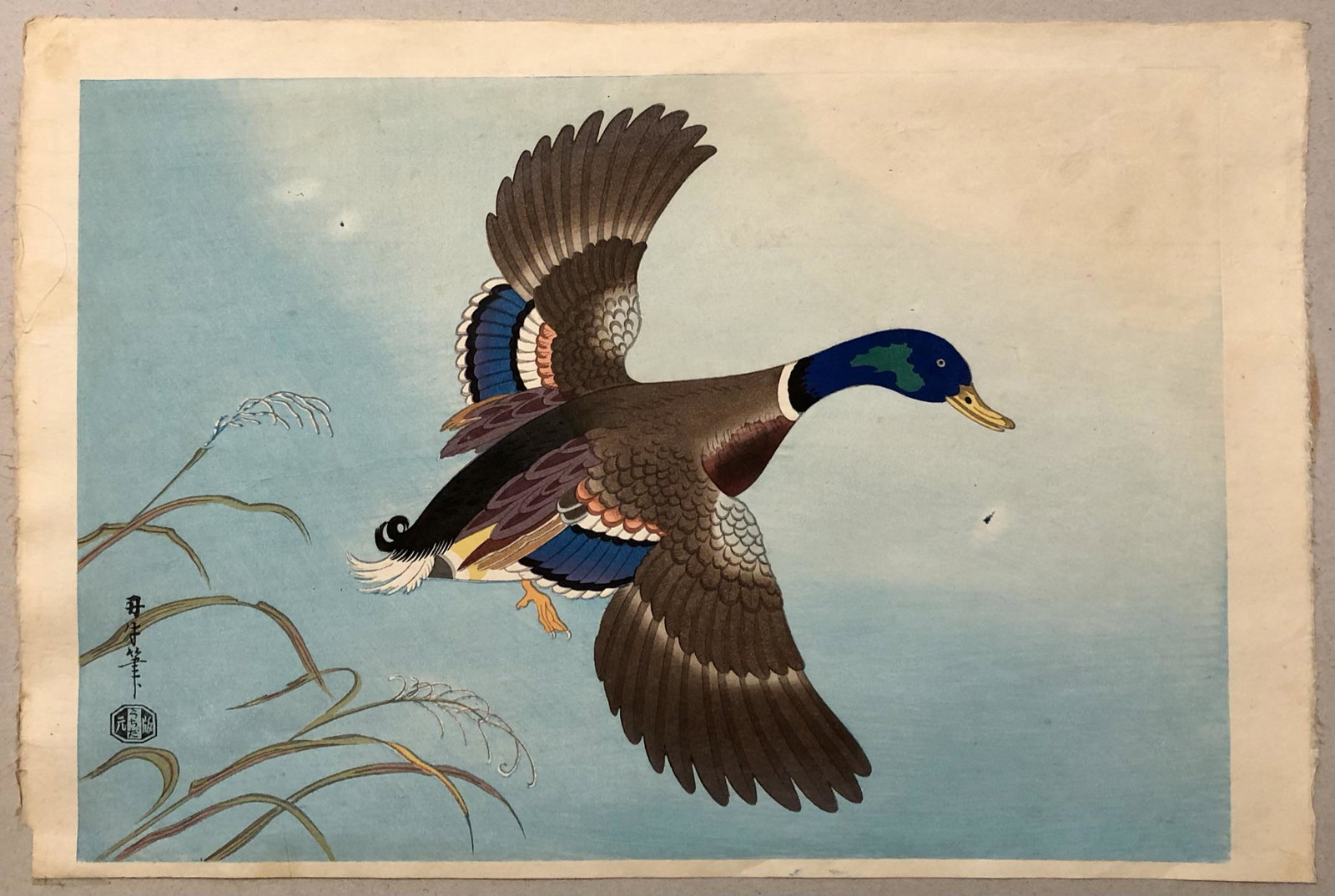 Benji Asada Woodblock Print, Mallard Duck (1 of 4)