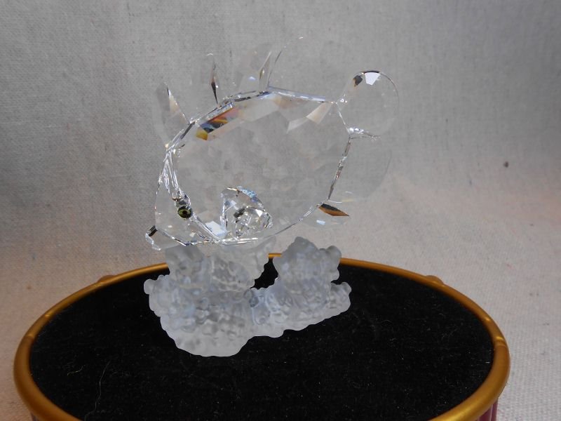 SWAROVSKI CRYSTAL BUTTERFLY FISH: Swarovski silver crystal edition, butterfly fish with box and certificate.