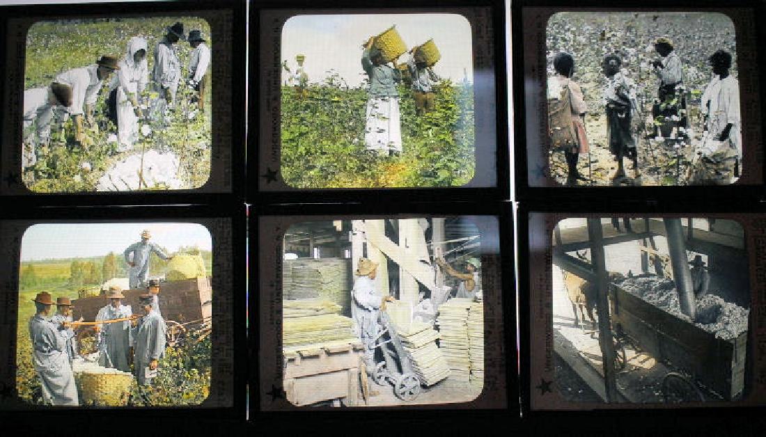 21 Lantern Slides - Cotton Industry (1 of 1)