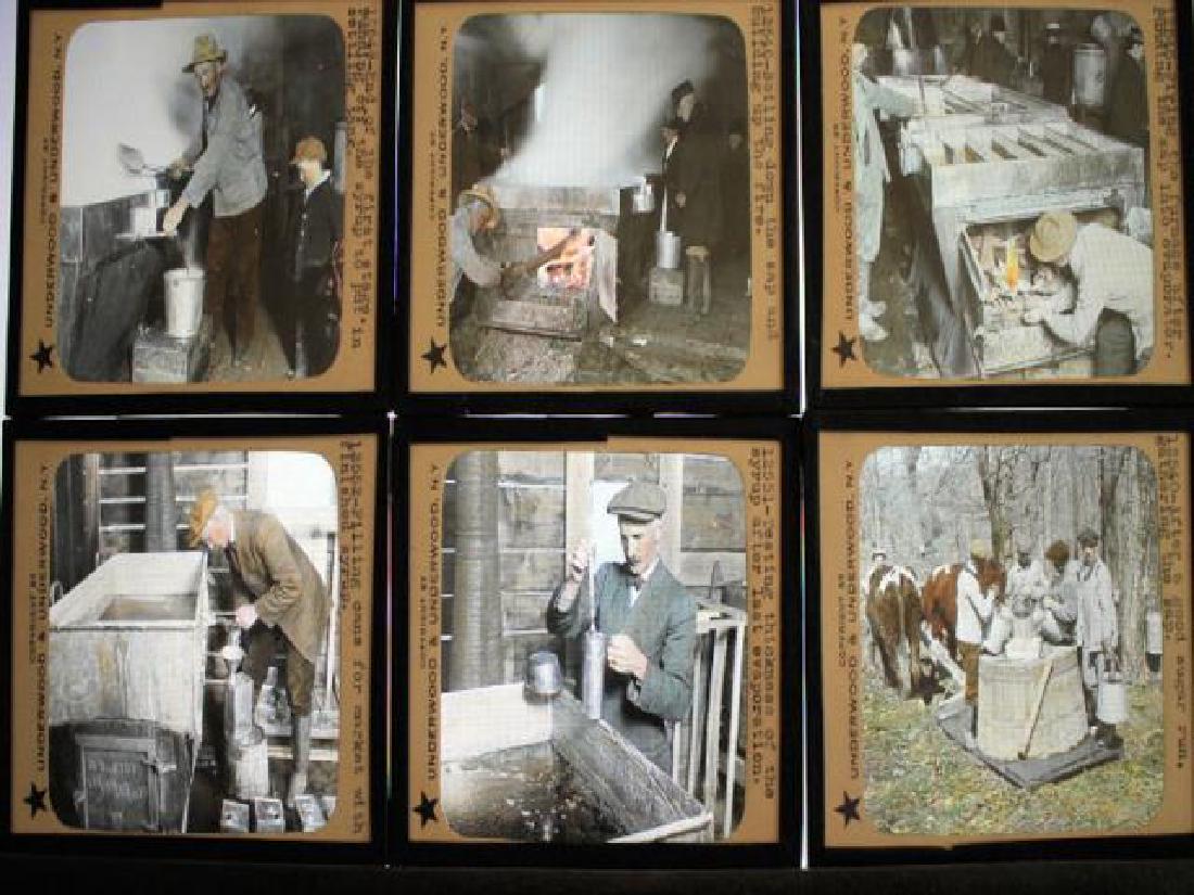 18 Lantern Slides -Maple Sugar Processing Industry (1 of 1)