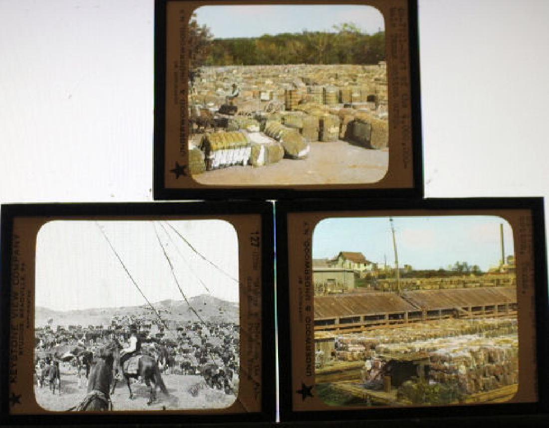 16 Lantern Slides - Texas (1 of 1)