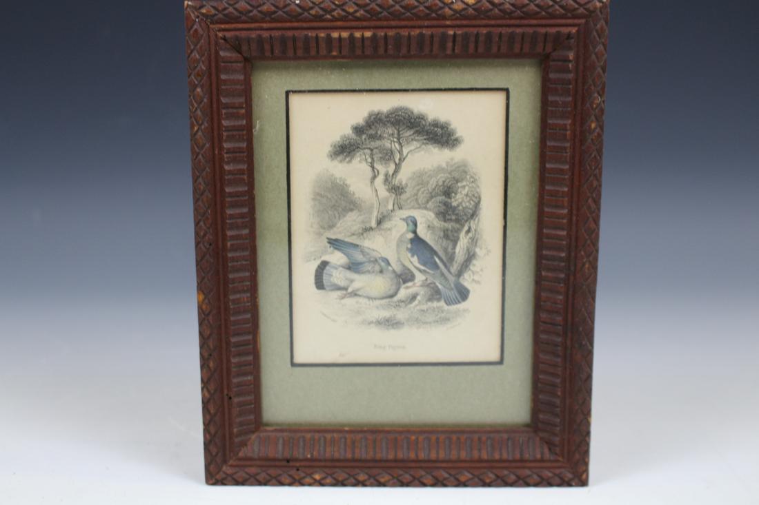 1835 Hand-Colored Ring Pigeons Bird Engraving (1 of 4)