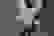 item-88595451=4