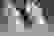 item-88595556=2