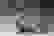 item-88595791=3