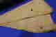 item-127921407=4