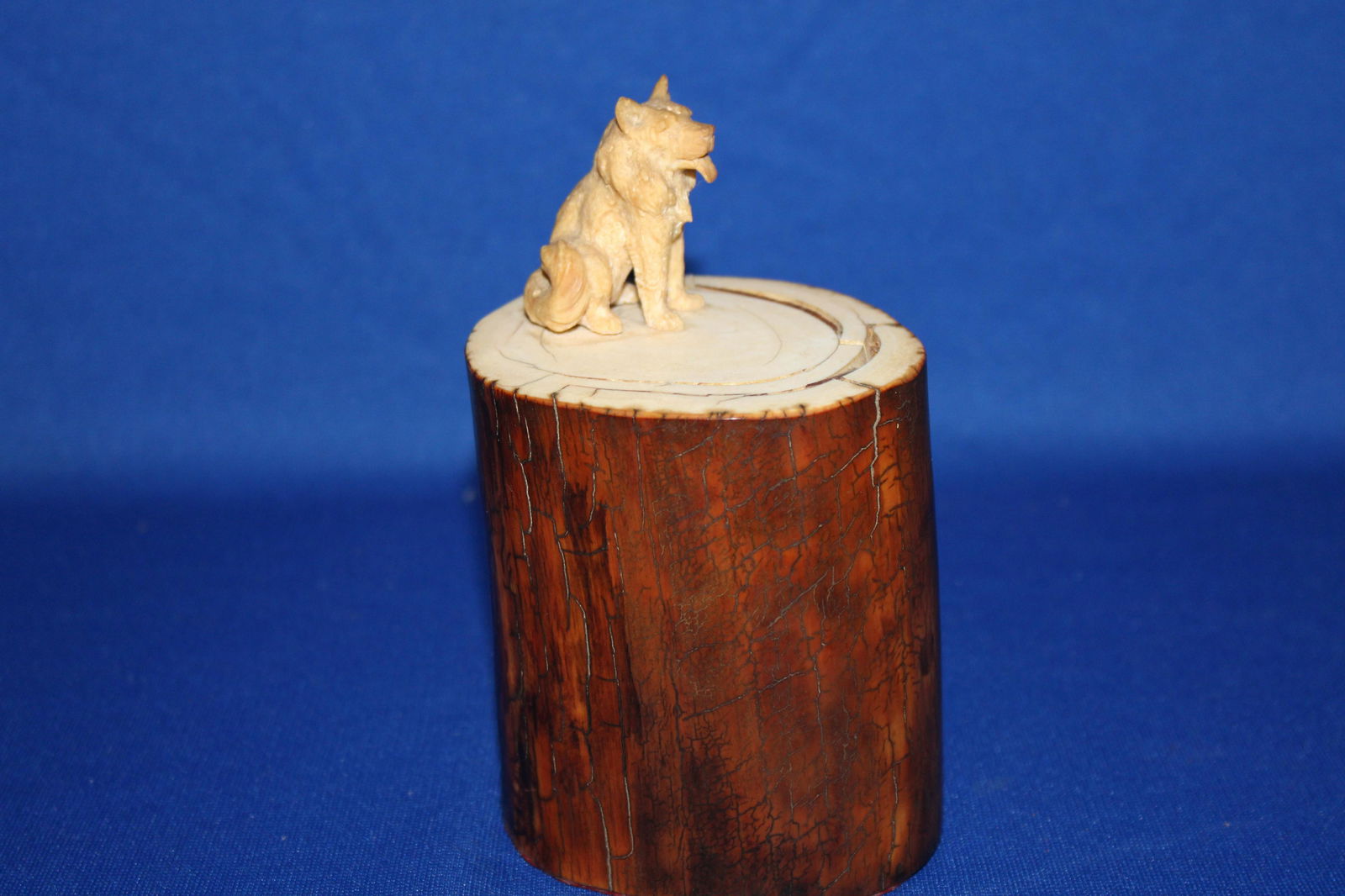 Ancient Mammoth Tusk - Wransell, Alaska Sold as Souvenir: Ancient Fossil Alaska Mammoth Tusk - sold by Walter C Waters the Bear Totem Store in Wransell Alaska sometime between 1915 and 1950. Polished Mammoth tusk made into a souvenir with carved Alaskan Husk