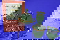 Rare 1897 Pennsylvania Balder No 15048 Table Set