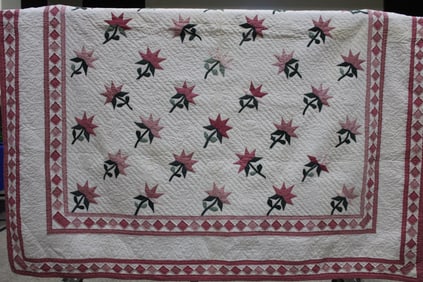 Tulip Applique Quilt w/ Pink Diamond Border