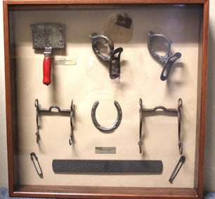 Horse Hanes Framed Display Diarama