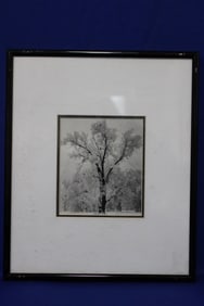 Ansel Adams Print