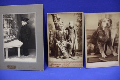 Unusual Cabinet Cards Inc Dog Tige's ID'd Owner