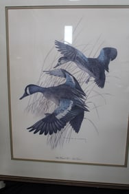 Charles Murphy Blue Winged Teal Print