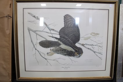 Great Horned Owl American Series Print