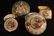 UM Prussia German Portrait Covered Dresser Boxes - 2