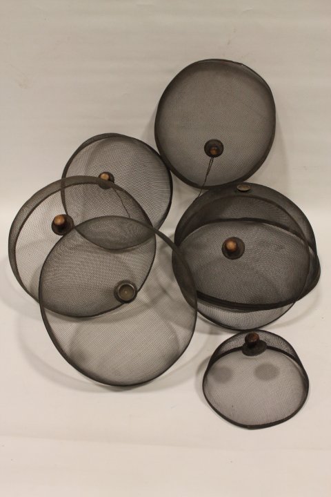 6 Victorian Food Screens - 19th Century (1 of 1)