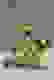 item-50258420=2