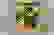 item-55311057=4