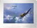 World War Two print 23x30 The Straggler by the artist