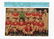 Manchester United Busby Babe 7x4 signed vintage