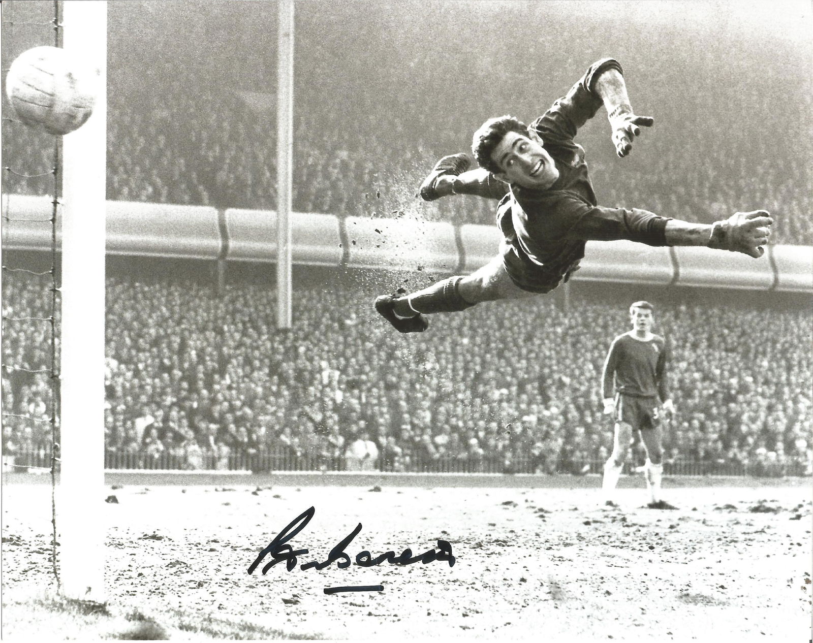 Peter Bonetti 10x8 signed b/w photo pictured in action: Peter Bonetti 10x8 signed b/w photo pictured in action for Chelsea. Peter Phillip Bonetti (born 27 September 1941 in Putney, London) is a former football goalkeeper for Chelsea, the St. Louis Stars, D