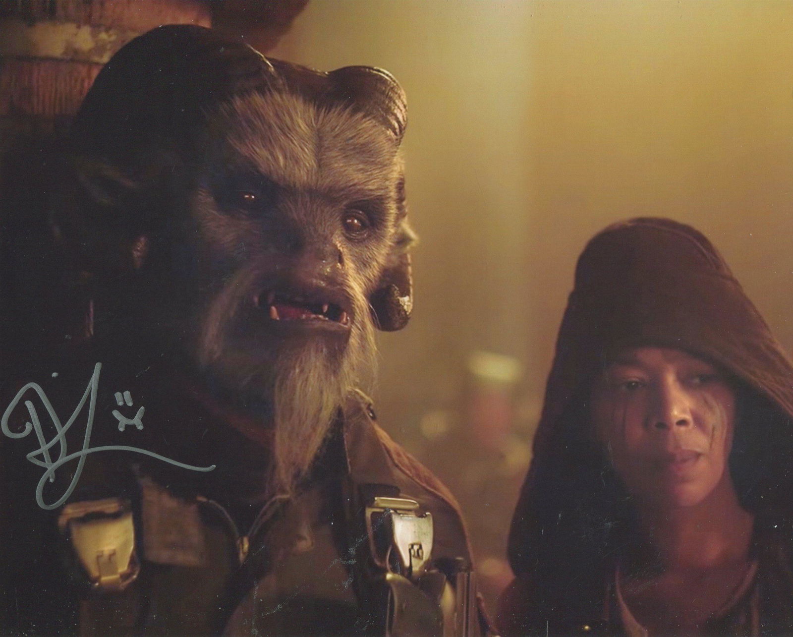 Star Wars. 8x10 inch photo signed by Star Wars actor (1 of 1)