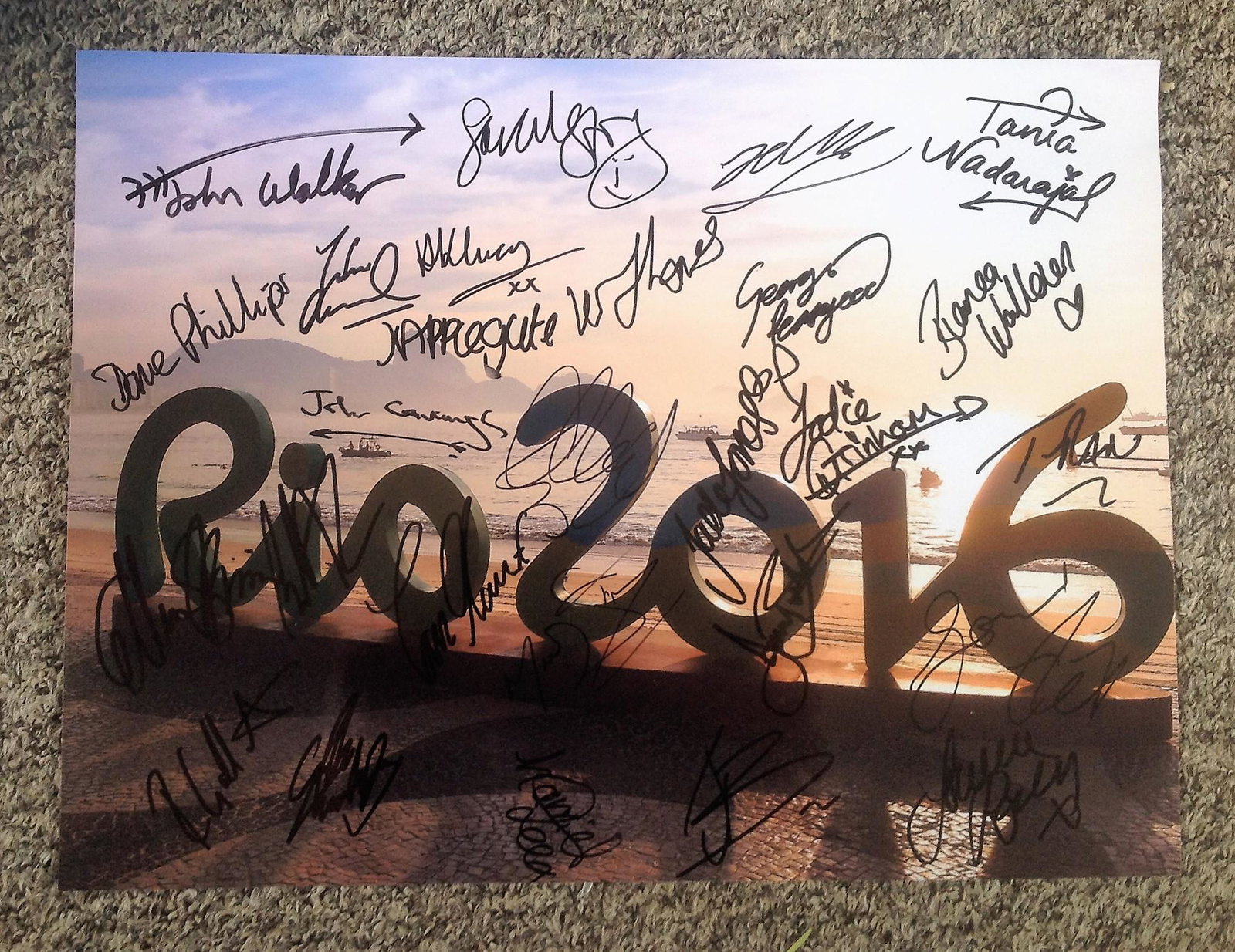 Rio 2016 Olympics multi signed 16x12 colour photo.: Rio 2016 Olympics multi signed 16x12 colour photo. Signed by at least 20. Amongst the signatures are John Walker, Dave Phillips, Applegate, Jodie Grinham, Gallantree, Peasgood, Read, Whitlock, Landrid