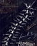 Blowout Sale! Human Centipede II dual signed 10x8