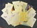 Entertainment signed collection. 30+ items. Assorted