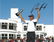 Padraig Harrington Signed British Open Golf 8x10 Photo