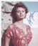 Sophia Loren signed 10 x 8 inch photo. Good Condition.