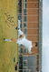 Leeds United Mick Bates, Football Autographed 12 X 8