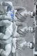 Leeds United Norman Hunter, Football Autographed 12 X 8