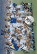 Leeds United 1992 Charity Shield, Football Autographed