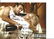 Shirley Eaton signed 10x8 colour photo from Goldfinger.