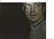Ben Feldman signed 10x8 colour photo. Good Condition.