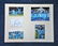 Cricket Jason Roy 20x16 mounted signature piece