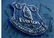 Everton Legends multi Authentic Signed 16 x 12 inch