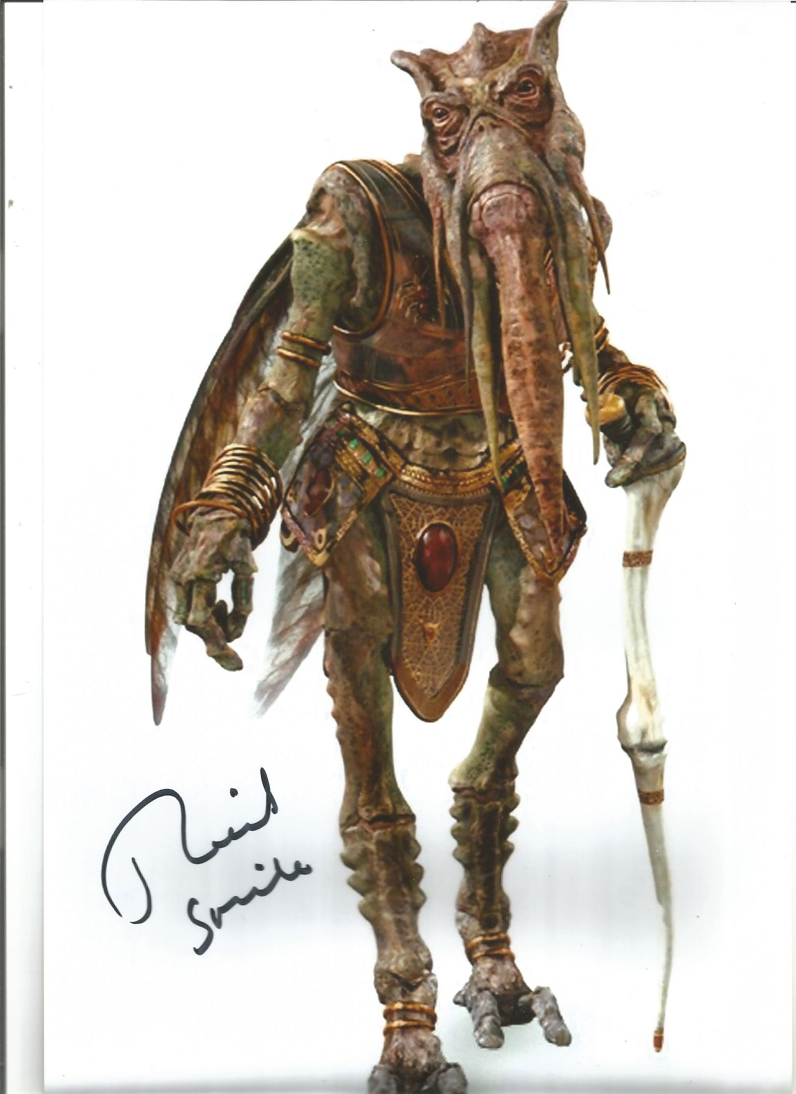 Star Wars Richard Stride as Poggle signed 10x8 inch (1 of 1)