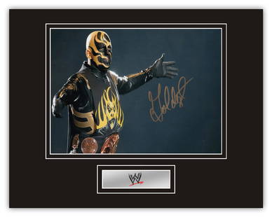 Stunning Display! WWE Wrestling Goldust hand signed: Stunning Display! WWE Wrestling Goldust hand signed professionally mounted display. This beautiful display consists of a 10"x8" photo, hand signed by fan favourite wrestler from WWE, Goldust. This has