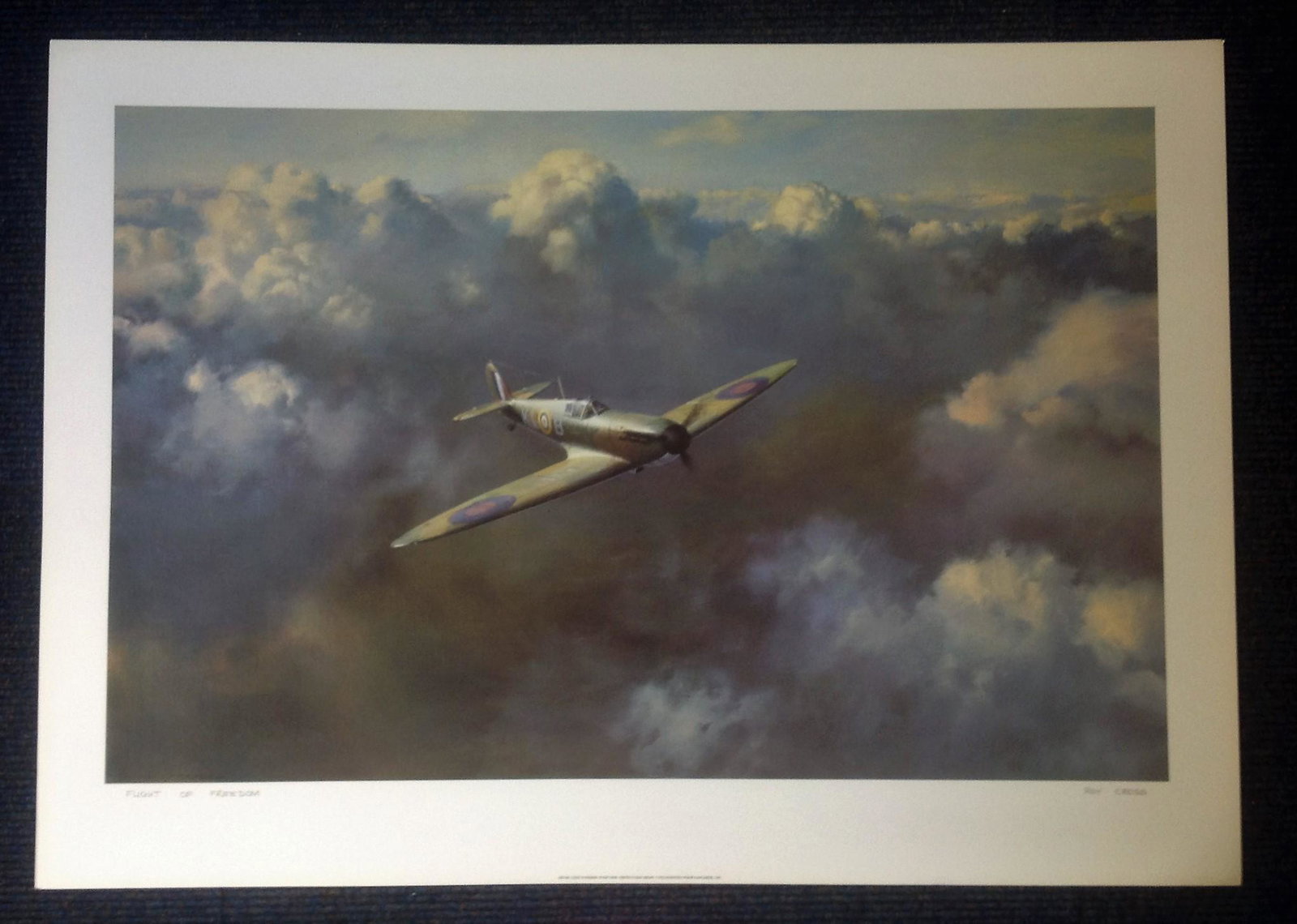 Battle of Britain 20x28 titled Flight of Freedom signed: Battle of Britain 20x28 titled Flight of Freedom signed in pencil by the artist Rob Cross. Good Condition. All autographs are genuine hand signed and come with a Certificate of Authenticity. We combin