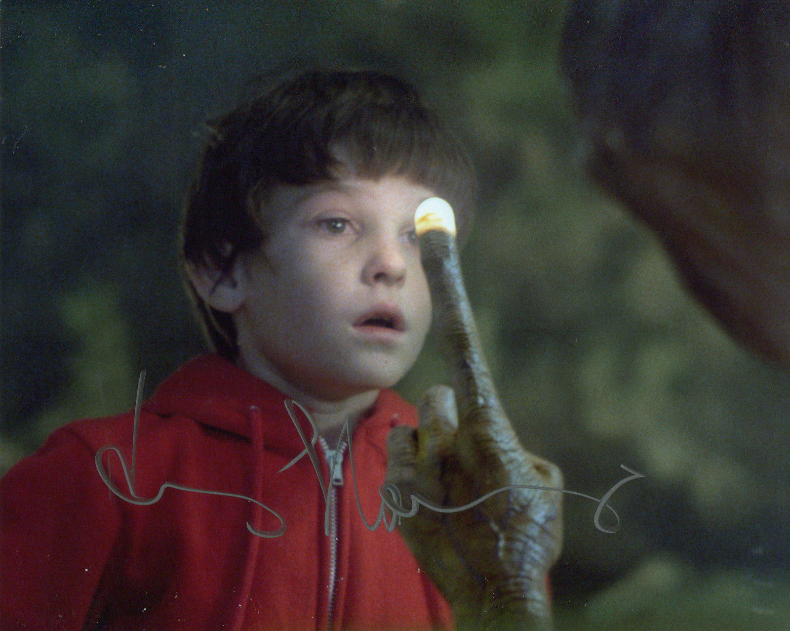 E. T The Extra Terrestrial movie photo signed by actor: E. T The Extra Terrestrial movie photo signed by actor Henry Thomas as Elliott. Good condition. All autographs come with a Certificate of Authenticity. We combine postage on multiple winning lots and