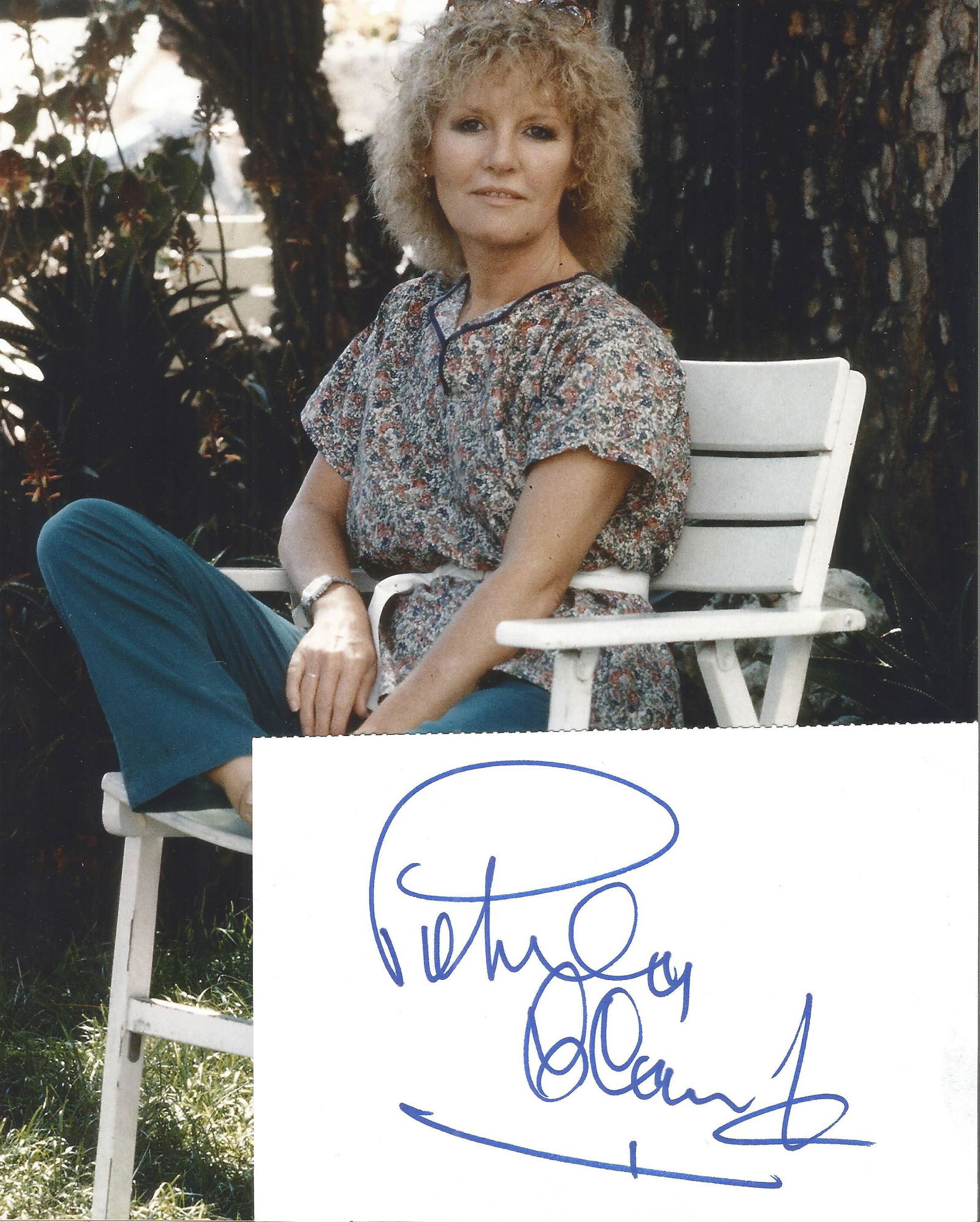 Petula Clark signed 6x4 White Card With 10 x 8 inch (1 of 1)