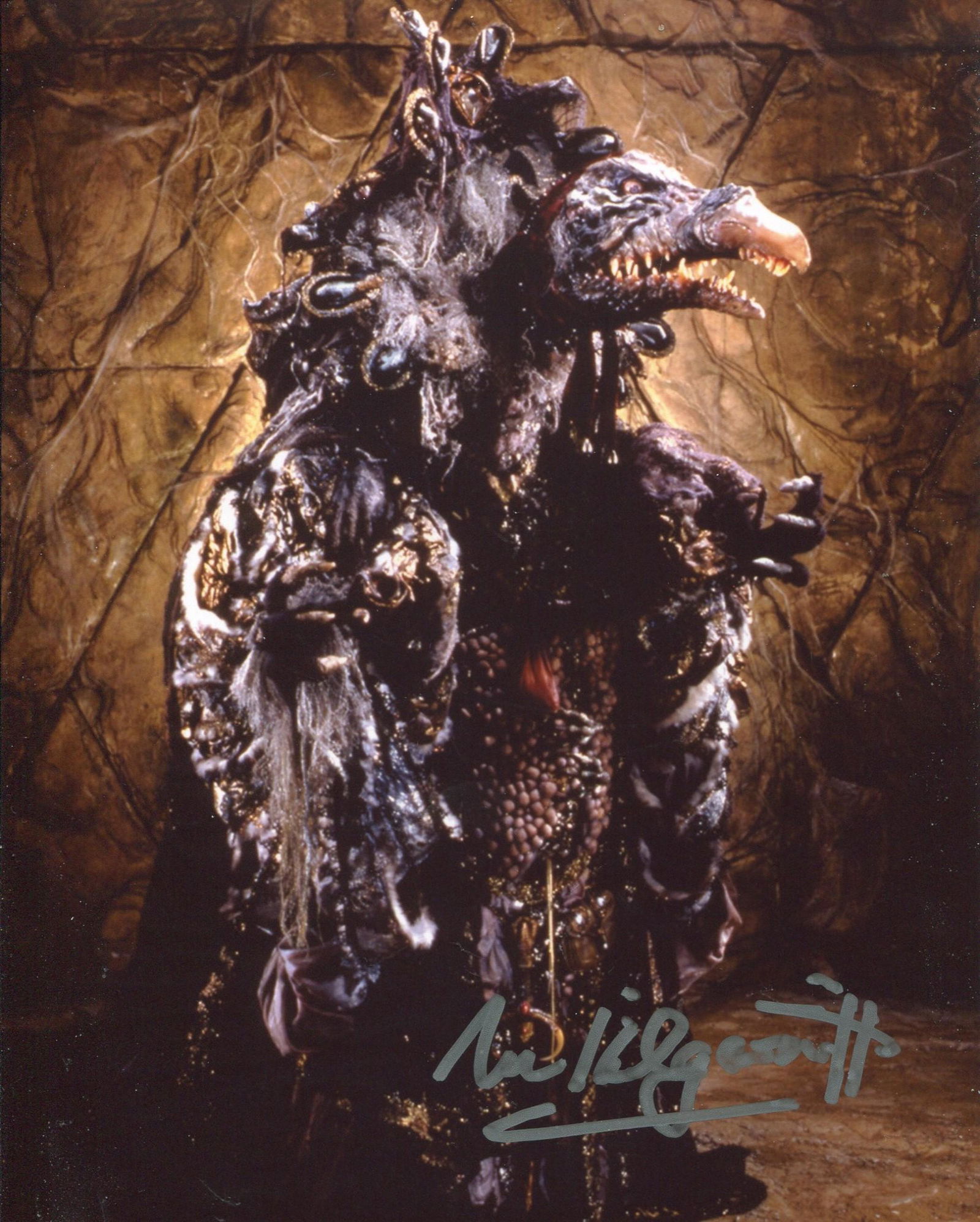 The Dark Crystal, 8x10 movie photo signed by actor (1 of 1)