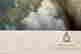 item-117846146=3